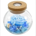 thumbnail image 1 of Valentines Day Rose Gifts for Women Rainbow Preserved Flowers Rose Gifts for Her Romantic Women Gifts for Birthday Gifts, 1 of 6