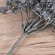 thumbnail image 3 of OUNONA 1Ud Ramo De Gypsophila Artificial Plástico Para Decorar Bodas Y Ambientes En Oscuro, 3 of 6
