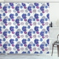 thumbnail image 1 of Ambesonne Aster Shower Curtain, Blossoming Daisies Design, 69"Wx84"L, Grey Navy Blue Violet, 1 of 3