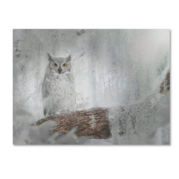 Trademark Fine Art 'Owl Dreams' Canvas Art by Patty Tuggle