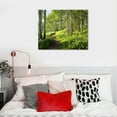 thumbnail image 5 of Fenyluxe Forest Wall Canvas Artwork Nature Tree Trail Path Landscape Wall Hanging Morning Sunshine Through Green Tree for Home Office Indoor and Outdoor Decor Canvas Wall Art Print 20x16in, 5 of 6