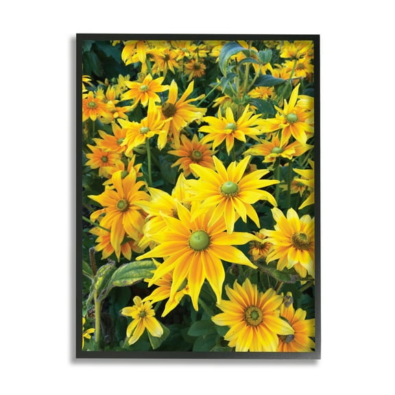 Stupell Industries Sunflower Field Blooming Green Bulbs Yellow Petals, 16 x 20, Designed by Sarah Jane