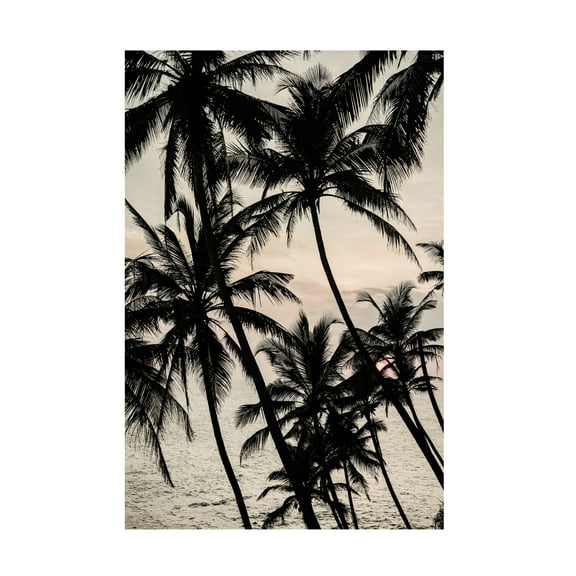 Trademark Fine Art Shot by Clint Full Dream Canvas Wall Art