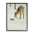 thumbnail image 2 of Stupell Industries Deer & Squirrel Snow Scene Animals & Insects Photography White Framed Art Print Wall Art, 2 of 5