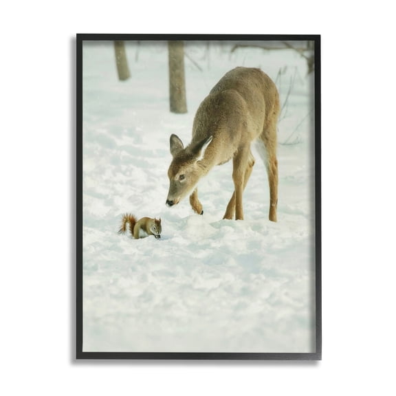 Stupell Industries Deer & Squirrel Snow Scene Animals & Insects Photography Black Framed Art Print Wall Art