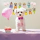 thumbnail image 2 of Yuarrent 1 Uds. Conjunto de decoraciones de cumpleaños decoraciones de feliz cumpleaños 16,4 pies decoraciones de feliz cumpleaños 16,4 pies Kits de decoración para fiestas Arcoíris 2 pulgadas, 2 of 6