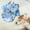 B-Sky Blue, variant on Kcodviy Pet Dog Puppy Classic Dog Clothes Medium Dog Sweater Sweater Clothes Dog Clothes For Medium Dogs Warm Sweater Winter Clothes Warmer Puppy Sweater Extra Small