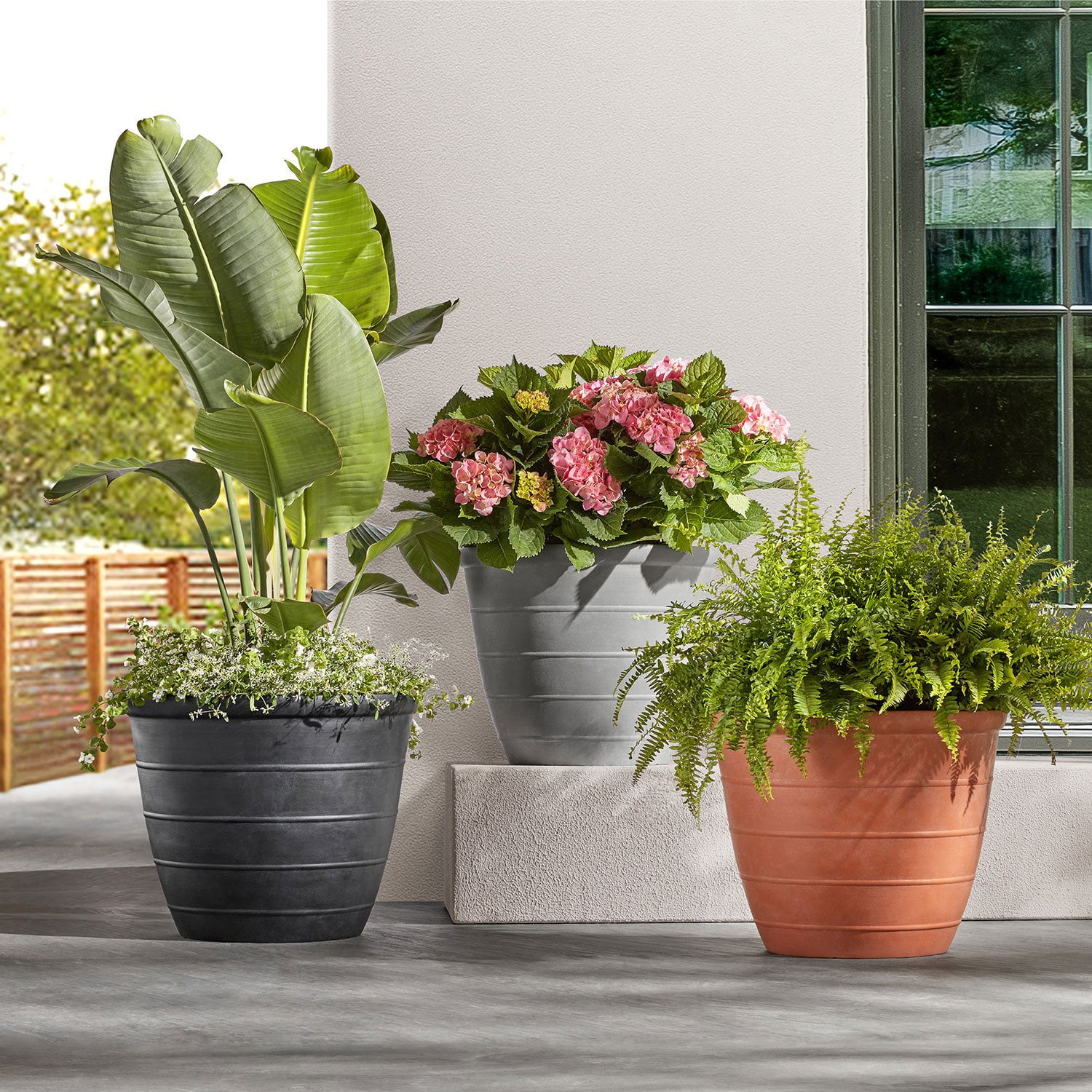 timber crew STAMP PLANTER 黒檀 timber crew STAMP PLANTER 黒檀