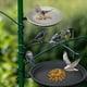 thumbnail image 4 of Price cut Hummingbird Feeder Outdoor Garden Hanging Bird Feeder, 4 of 4