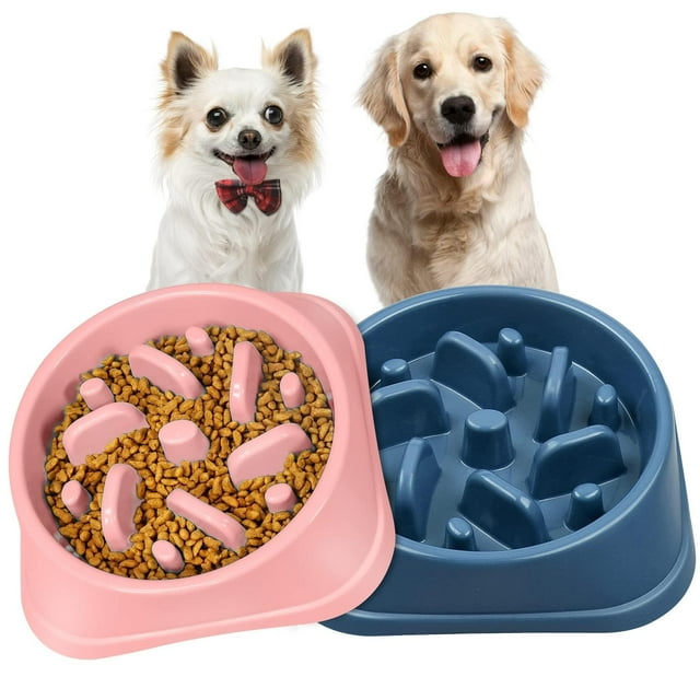 Plato para Perro Ewtto Verde Antideslizante y Ecológico, Diseño Divertido, Alimentación Lenta, 2 Pie