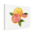 thumbnail image 2 of Kathleen Parr McKenna 'Citrus Garden X' Canvas Art, 2 of 4