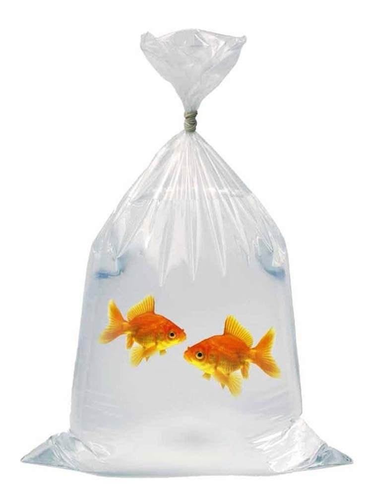 Pack of 1000 Plastic Fish Bags 10 x 24. Clear Polyethylene Bags 10x24