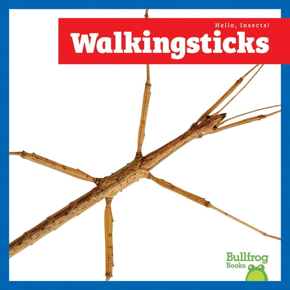 Hello, Insects! Walkingsticks, (Paperback)