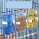 thumbnail image 4 of Billuyoard Comedero para pájaros de aplicación amplia de ABS - No más problemas con las necesidades de agua de los pájaros Dispensador de agua Suministros de alimentación y agua para mascotas amarillo, 4 of 6