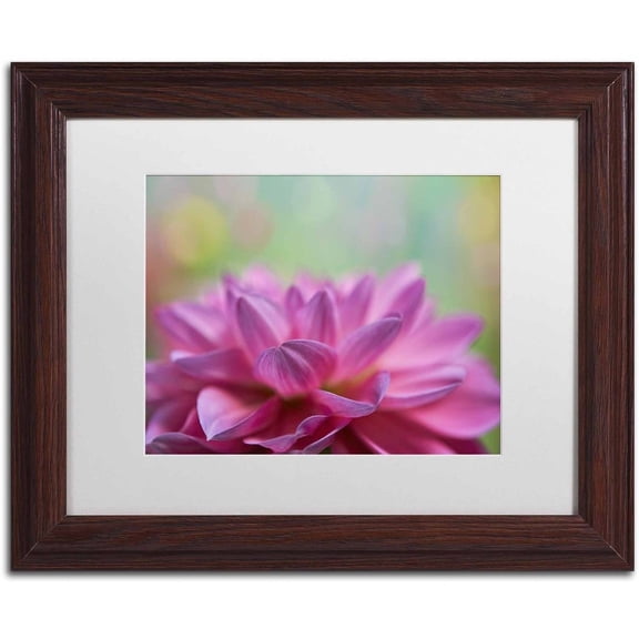 Trademark Fine Art 'Dahlia Petals' Canvas Art by Cora Niele, White Matte, Wood Frame