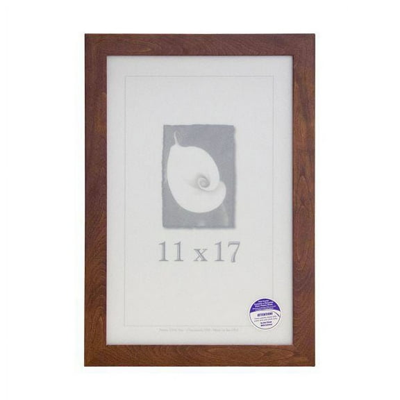 Frame USA Corporate Picture Frame 12.75W 4.5H