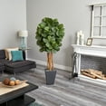 thumbnail image 3 of Nearly Natural 5.5' Fiddle Leaf Artificial Tree in Slate Planter, 3 of 3
