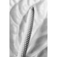 thumbnail image 3 of 1x Studio III 11x14 Black Modern Framed Museum Art Print Titled - Flammingo Flower, 3 of 5