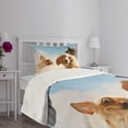 thumbnail image 5 of Ambesonne Funny Quilted Bedspread Set 2 Pcs, Cats Dogs in Sky Clouds, Twin Size, Multicolor, 5 of 6