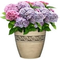 thumbnail image 2 of Classic Home Round Concrete Gray Resin Corinthian Planter, 2 of 4
