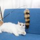 thumbnail image 4 of Interactivo palo de gato varita de juguete retráctil caña de linda cola de para ejercicio jugar persecución, 4 of 9