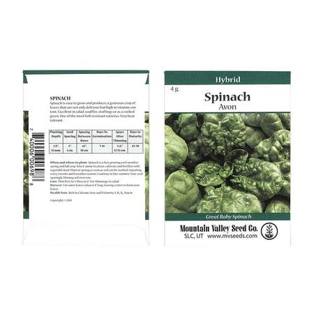 Avon Hybrid Spinach Garden Seeds - 4 g Pkg - Non-GMO Vegetable Garden & Leafy Greens (Best Green Leafy Vegetables)
