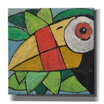 Epic Graffiti 'Toucan' by Tim Nyberg, Canvas Wall Art, 26"x26"