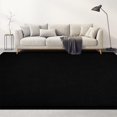thumbnail image 3 of TWINNIS Soft Area Rug Modren Rugs for Living Room Memory-Foam Carpets,Softness Rugs for Bedroom,Black,4'x6', 3 of 7