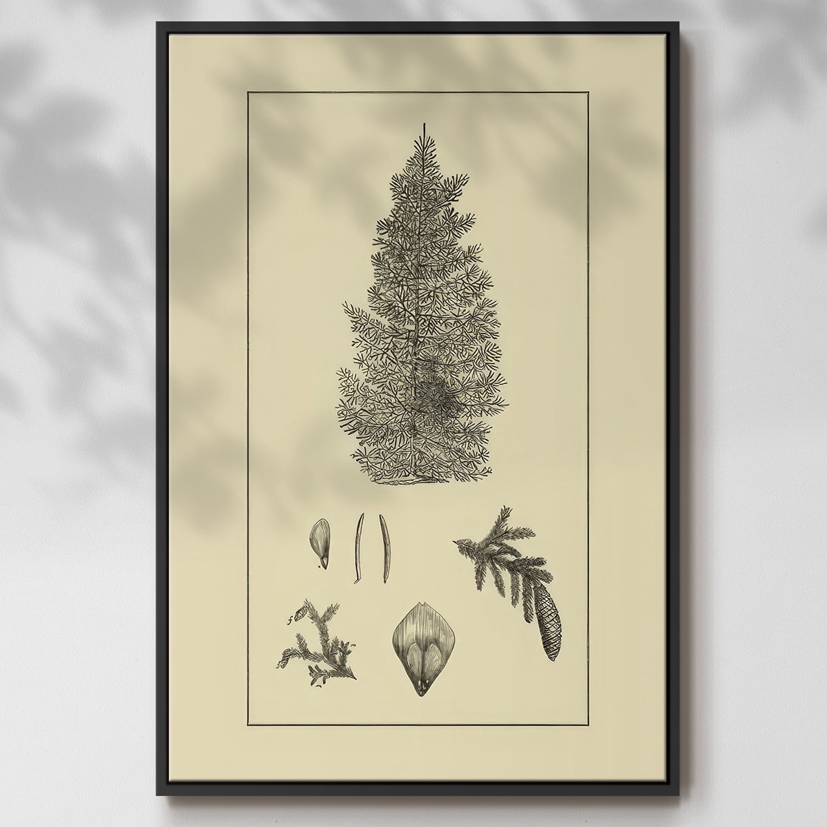 Arbor Study I - Framed Gallery Wrapped Holiday Canvas - 17 x 25 - Black Frame