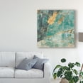 thumbnail image 3 of Trademark Fine Art 'Teal Lace I' Canvas Art by Jennifer Goldberger, 3 of 4