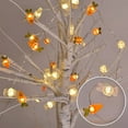 thumbnail image 4 of Luces LED, lámpara de escritorio, luz de noche, luz de libro, luces LED de conejito de Pascua, 30 luces, 9,8 pies, batería para decoración, cadena de lámparas, 4 of 5