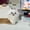 115-4, variant on Chiikawa Usaki Xiaobaji Ikawa Cute Plush Pillow Pillow Doll Doll