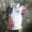 Q5-White, variant on Havenx Men's 4th Of July Shirts Short Sleeve Collared Shirt American Flag Design Button Polo Tshirt Cross Patriotic 250 Years Of Freedom Top,Dark Gray 3XL
