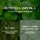 thumbnail image 3 of Crema hidratante VT COSMETICS Cica Cream Plus Hidratante Facial, 3 of 5