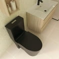 thumbnail image 6 of DAX Siphonic One-Piece Toilet with S-Trap 300MM, Matte Black, 6 of 6