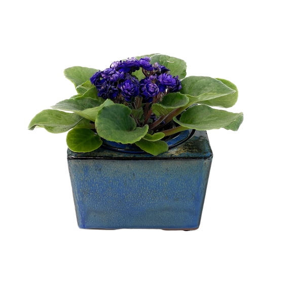 Cotta Planters African Violet Pot Self Watering Square 4 Inch Ceramic Planter, Indoor House Plant Pot Blue