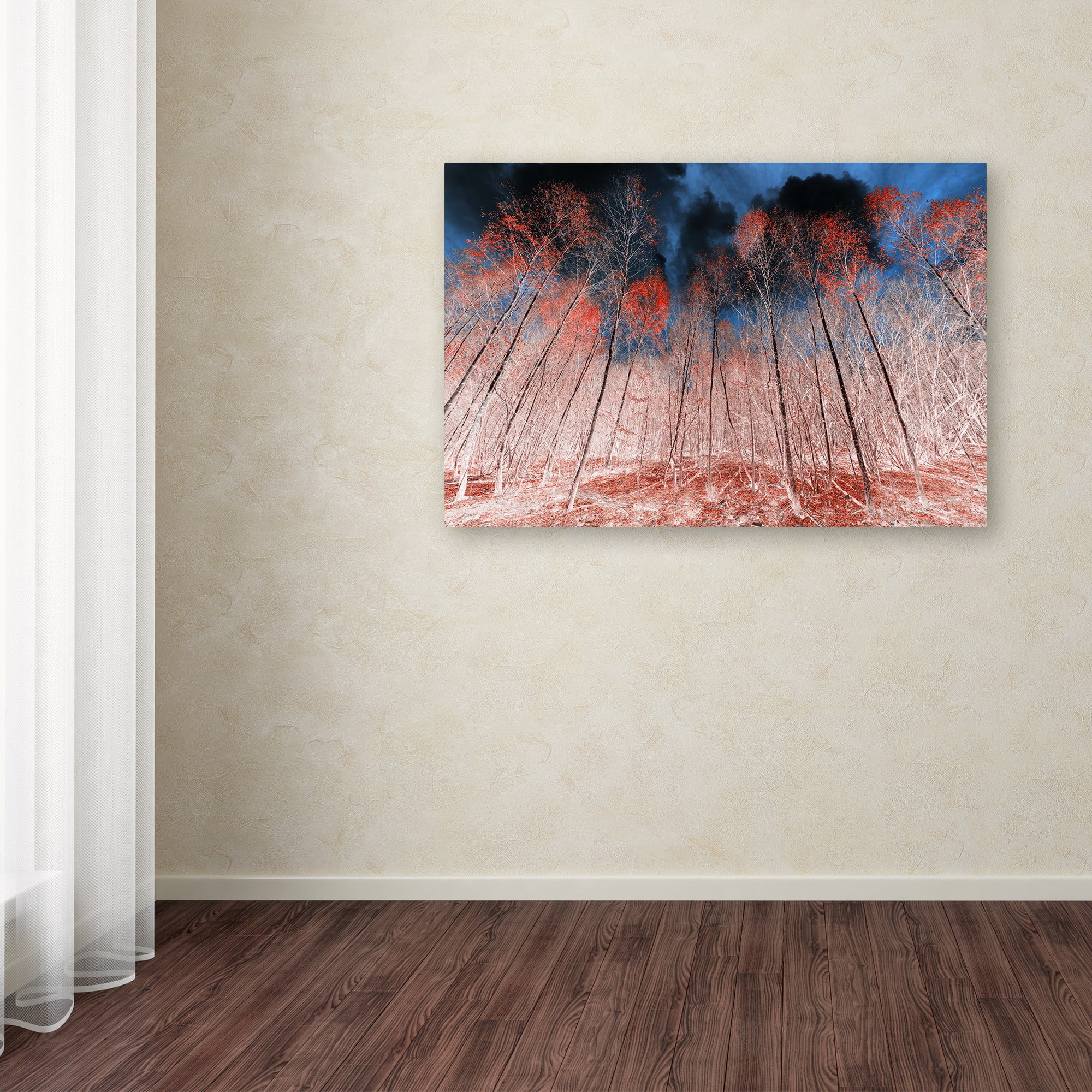 Trademark Fine Art "First Show" Canvas Art by Philippe Sainte-Laudy