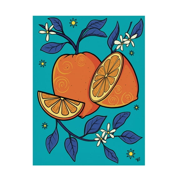 Canvas Wall Art - Rachel Feirman 'Oranges' Wall Art for Living Room, Bedroom, or Office Décor by Trademark Fine Art - 14 x 19 Inches
