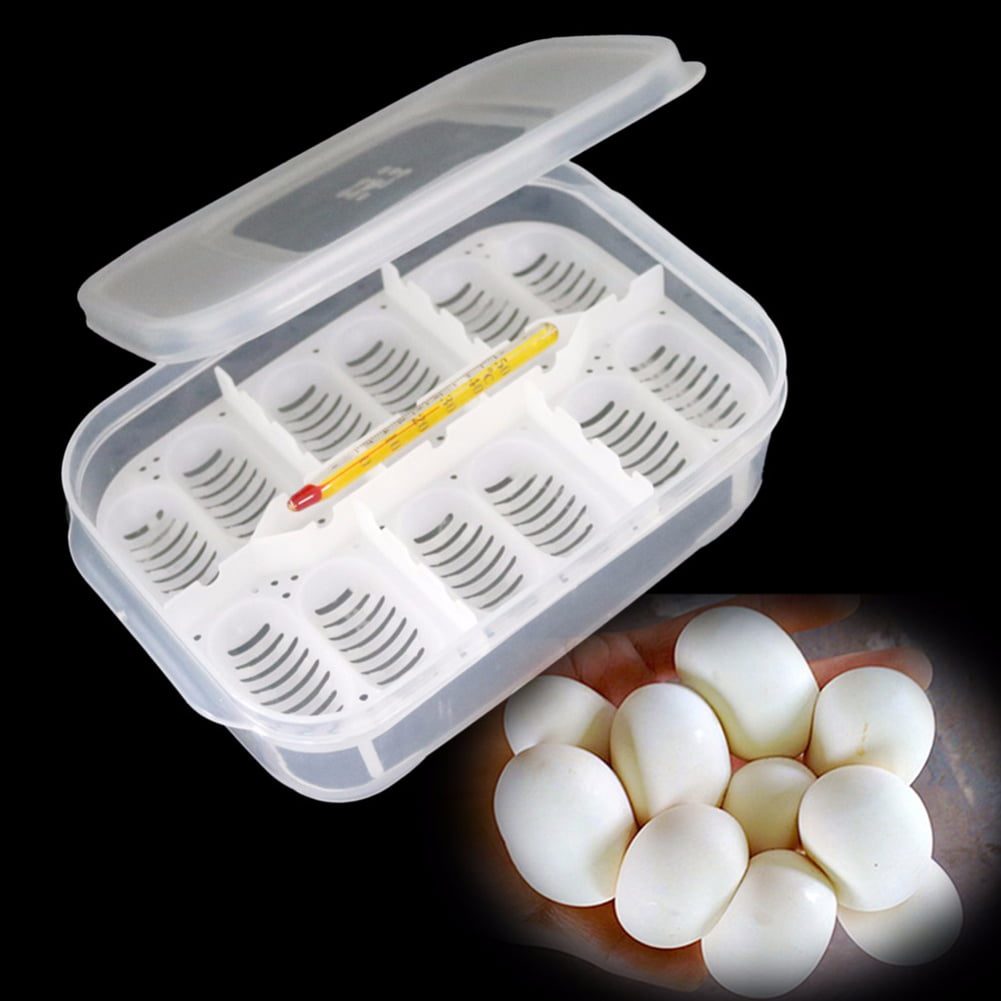 5cm 11 Globalflashdeal 12 Holes Reptile Egg Incubation Tray with Thermometer Incubating Gecko Lizard Snake Eggs Incubation Tools 16.5 