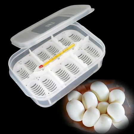 New Hot Sales 12 Holes Reptile Egg Incubation Tray With Thermometer Incubating Gecko Lizard Snake Eggs Incubation