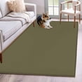 thumbnail image 2 of Sage Green Large Area Rugs for Bedroom Living Room, Soft Non Slip Carpet Bedside Rug, Brown Solid Color Simple Abstract Rectangular Floor Cover Kitchen Accent Rug 2.7'x5' for Dining Room/Office, 2 of 9