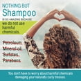 thumbnail image 3 of Nothing But Clarifying Shampoo Tea Tree Oil for Natural Hair 12oz Pack of 2, 3 of 9