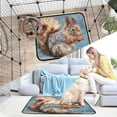 thumbnail image 7 of Qxltty Cute Squirrel Cat litter Pads Pet Set of 2 Diaper Mats Center Anti-leakage Layer Absorbent Soft and Comfortable, 7 of 7