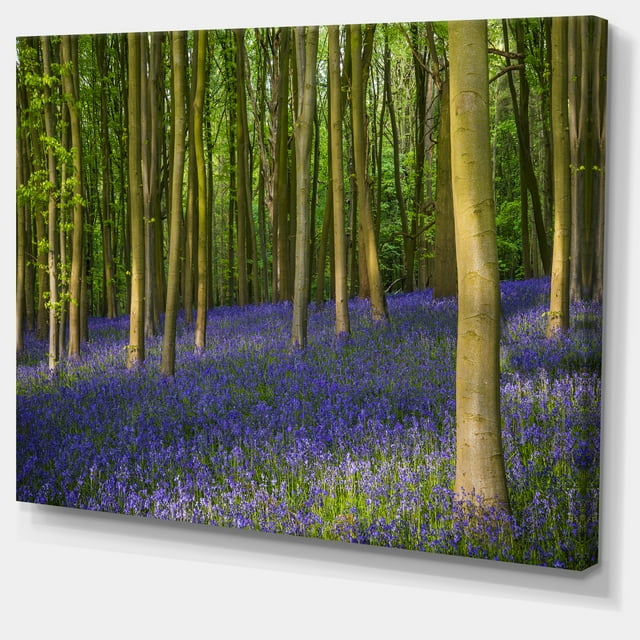 Designart - Bois Bluebell en Oxfordshire - Impression sur Toile Paysage