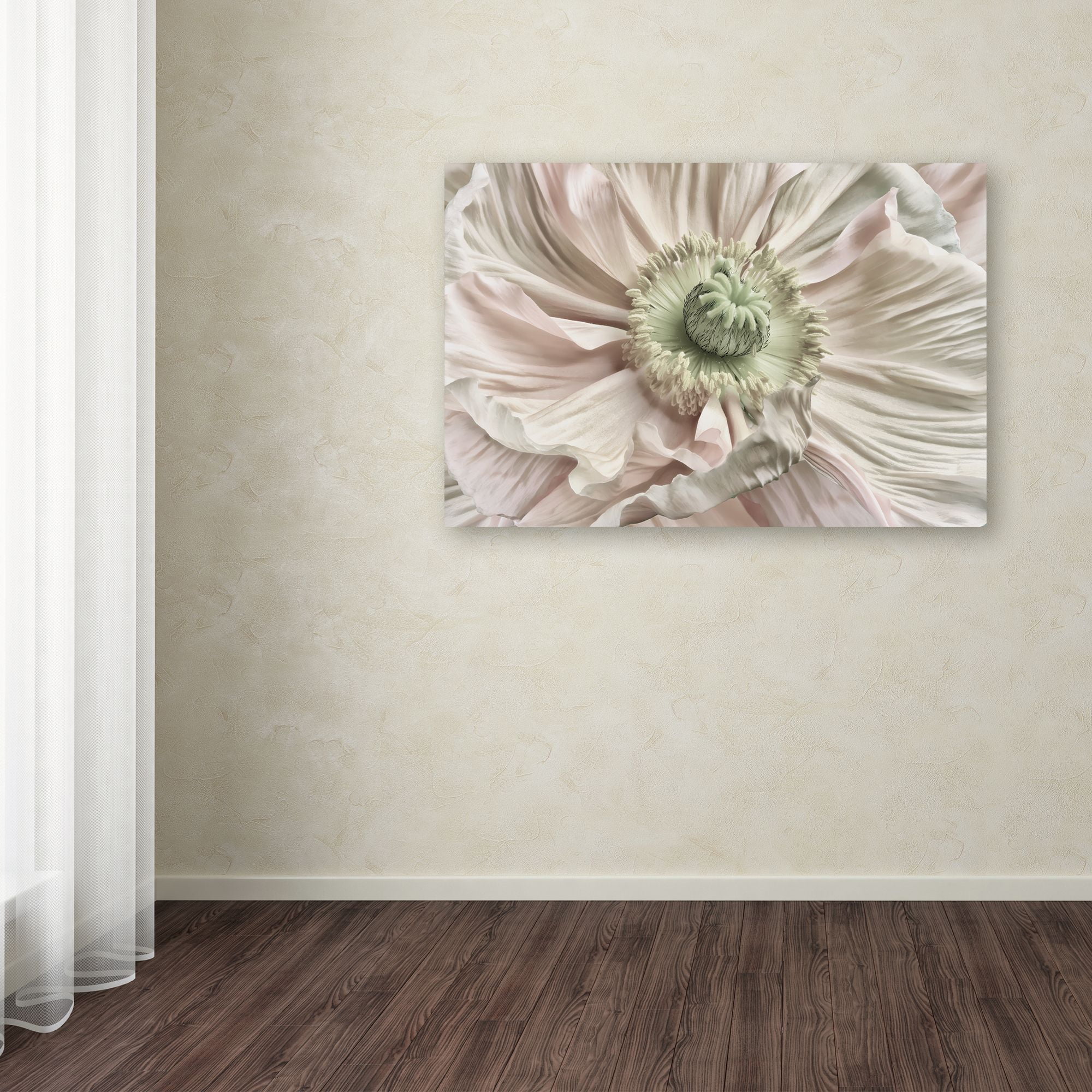 Trademark Fine Art 'Pink Poppy' Canvas Art by Cora Niele