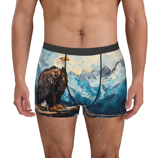 Balery Iceberg Bald Eagle Calzoncillos bóxer para hombre, ropa interior de algodón suave y transpirable con cinturilla de nailon-X-Large