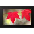 thumbnail image 2 of Crane, Rita 14x10 Black Modern Framed Museum Art Print Titled - Festive Maple II, 2 of 5