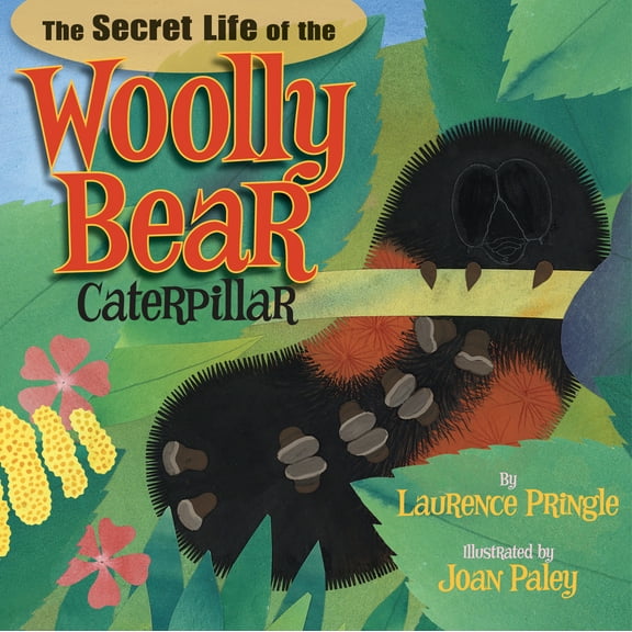 Pre-Owned The Secret Life of the Woolly Bear Caterpillar (Hardcover) 1620910004 9781620910009