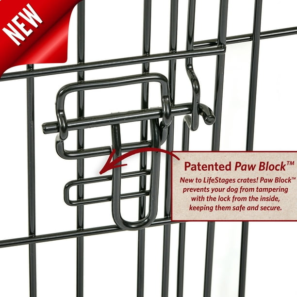 MidWest Homes for Pets 42-inch LifeStages Crate for Large Breeds