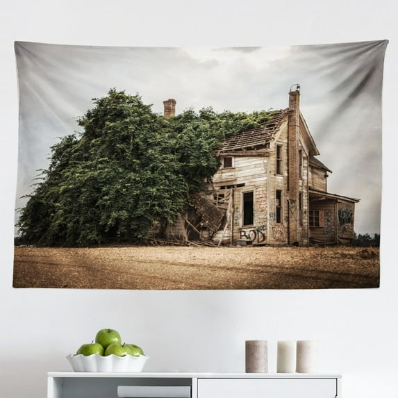 Rustic Tapestry, Damaged Shabby House Boarded up and Rusty Doors Moldy Windows Photography, Fabric Wall Hanging Decor for Bedroom Living Room Dorm, 2 Sizes, Multicolor, by Ambesonne